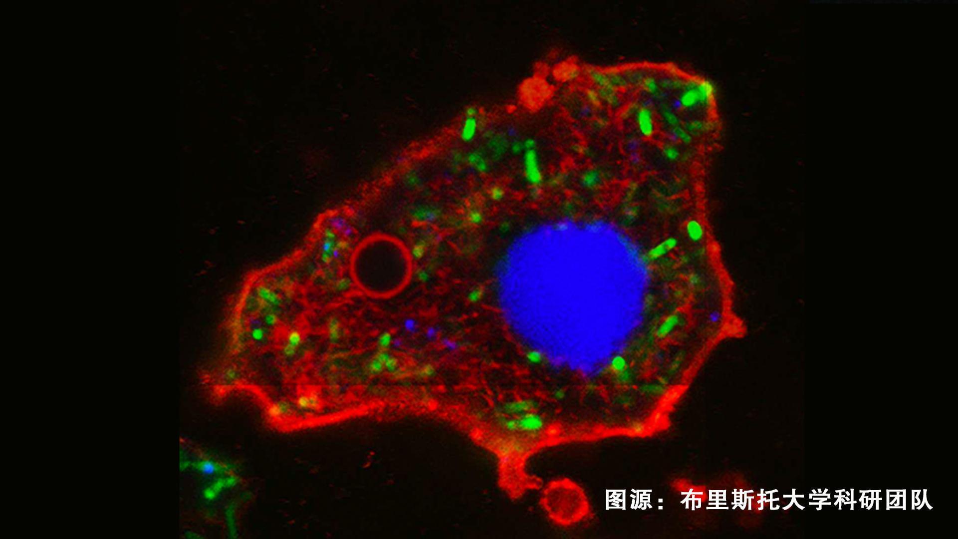 最新科技消息资讯(最新科技消息资讯网站)下载